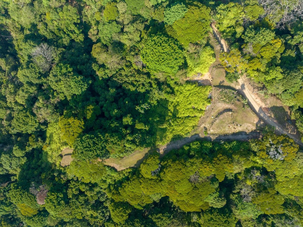 Private Ocean View Estate, Dominical, Puntarenas