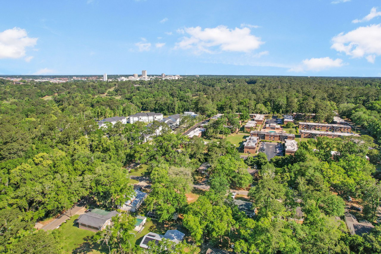 Another aerial view of a different part of the South City neighborhood, with houses and trees.