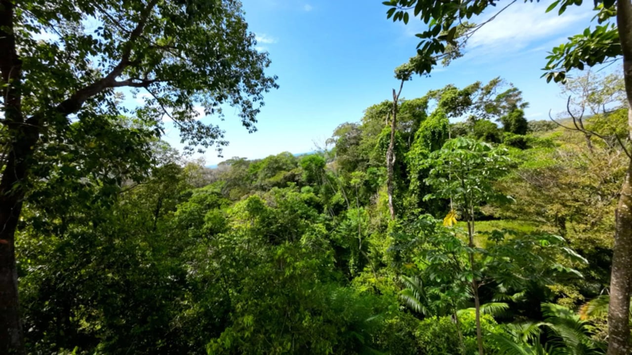 Multi Home Income Estate, Uvita, Puntarenas