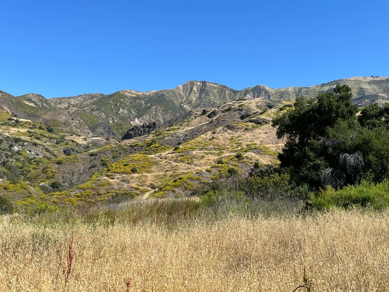 Check out our backyard!