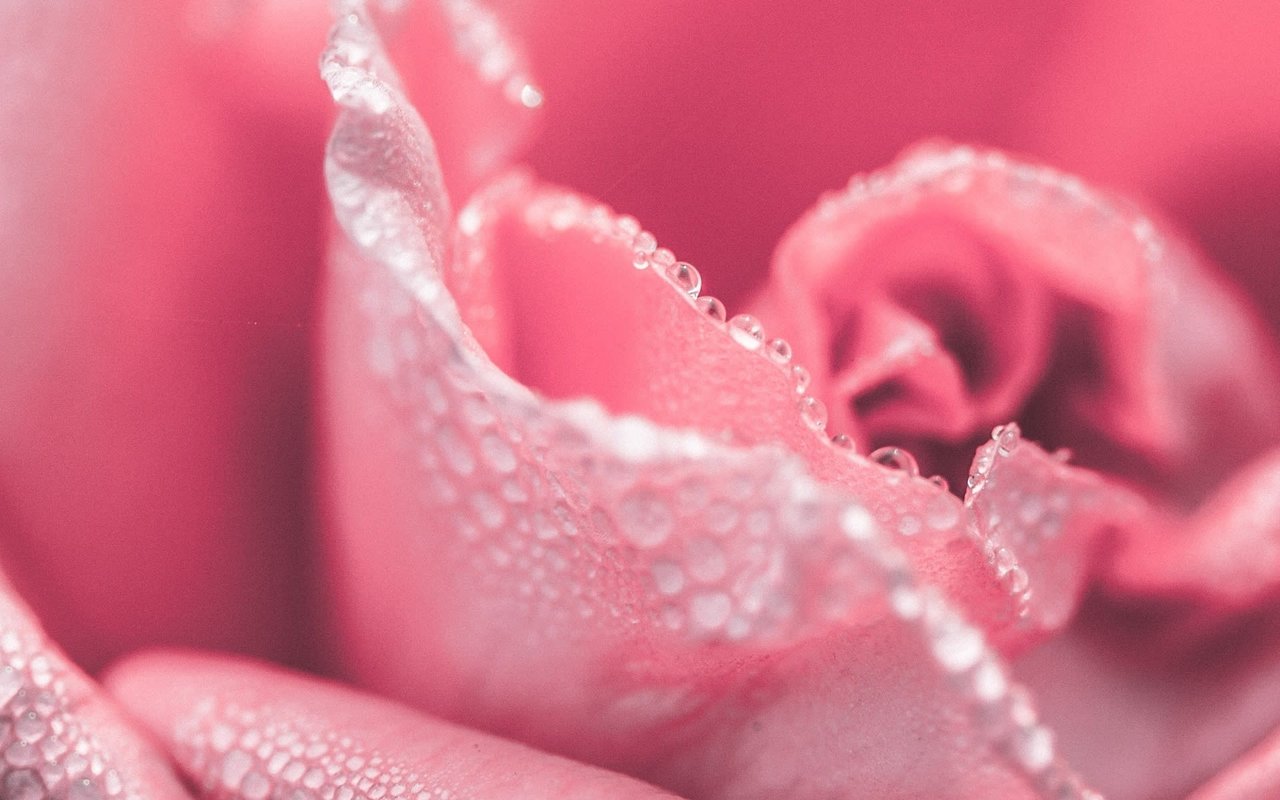 Celebrate Mother’s Day In Austin