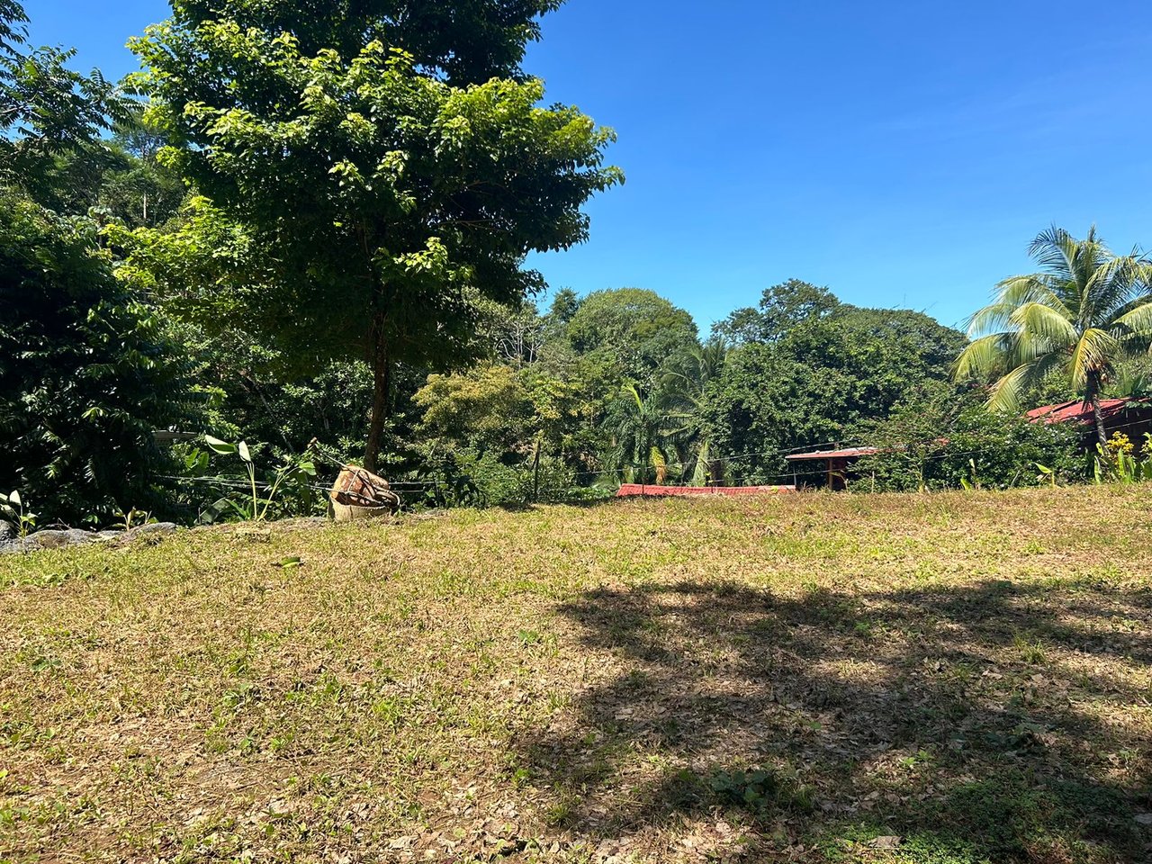 Reasonable Lot for sale in Uvita