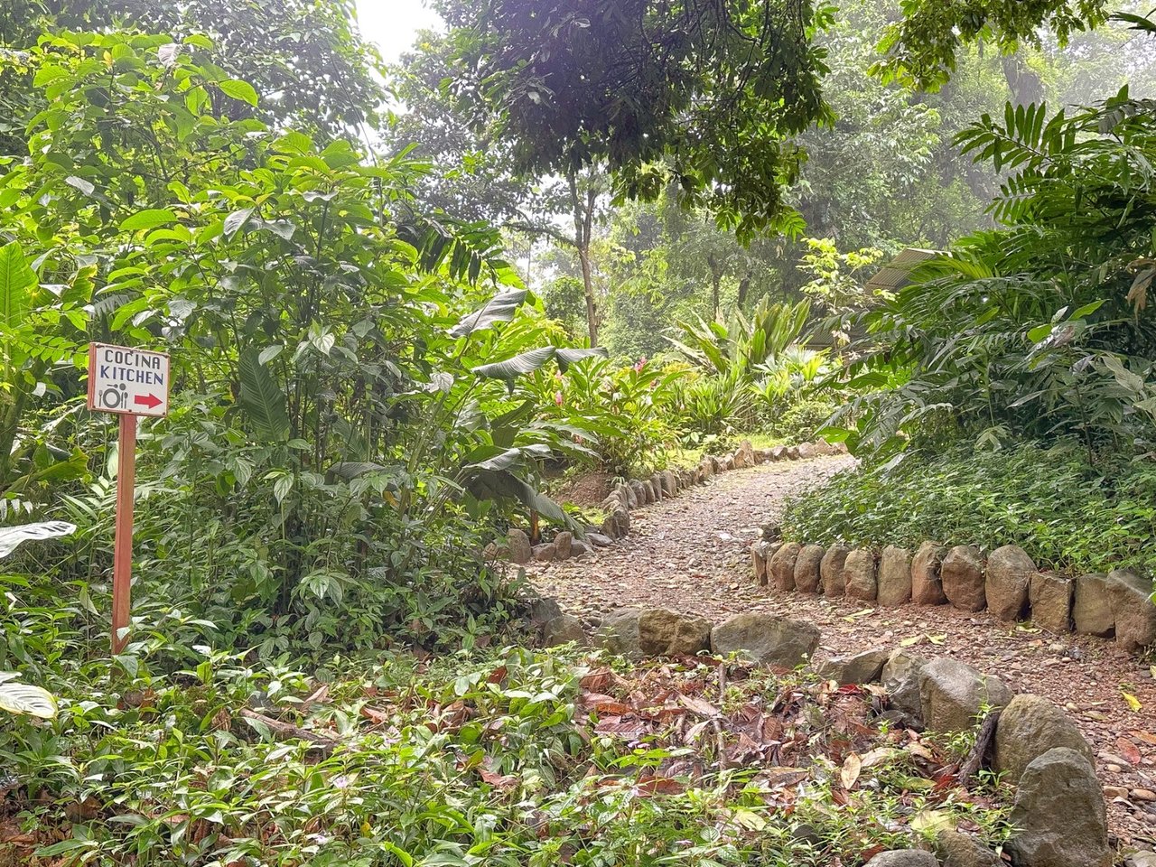 Waterfall Eco Resort Land, Dominical, Puntarenas