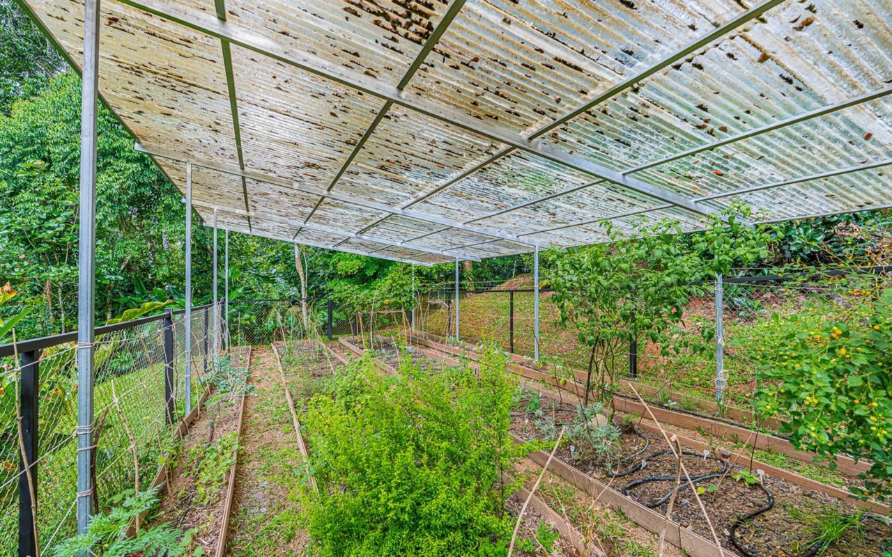 Off-Grid Regenerative Homestead, Perez Zeledon, San Jose