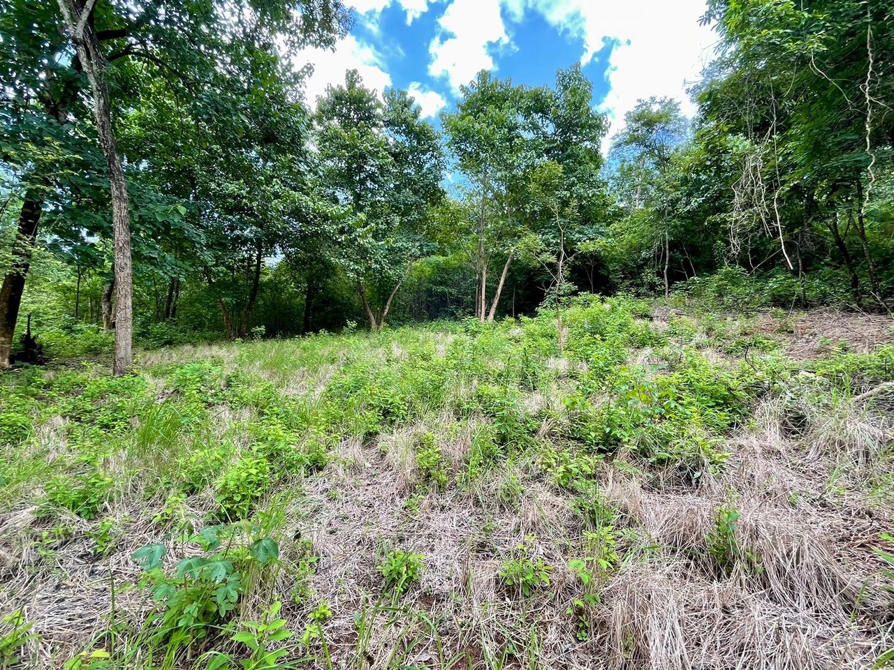 Private Tropical Building Lot, Tamarindo, Guanacaste