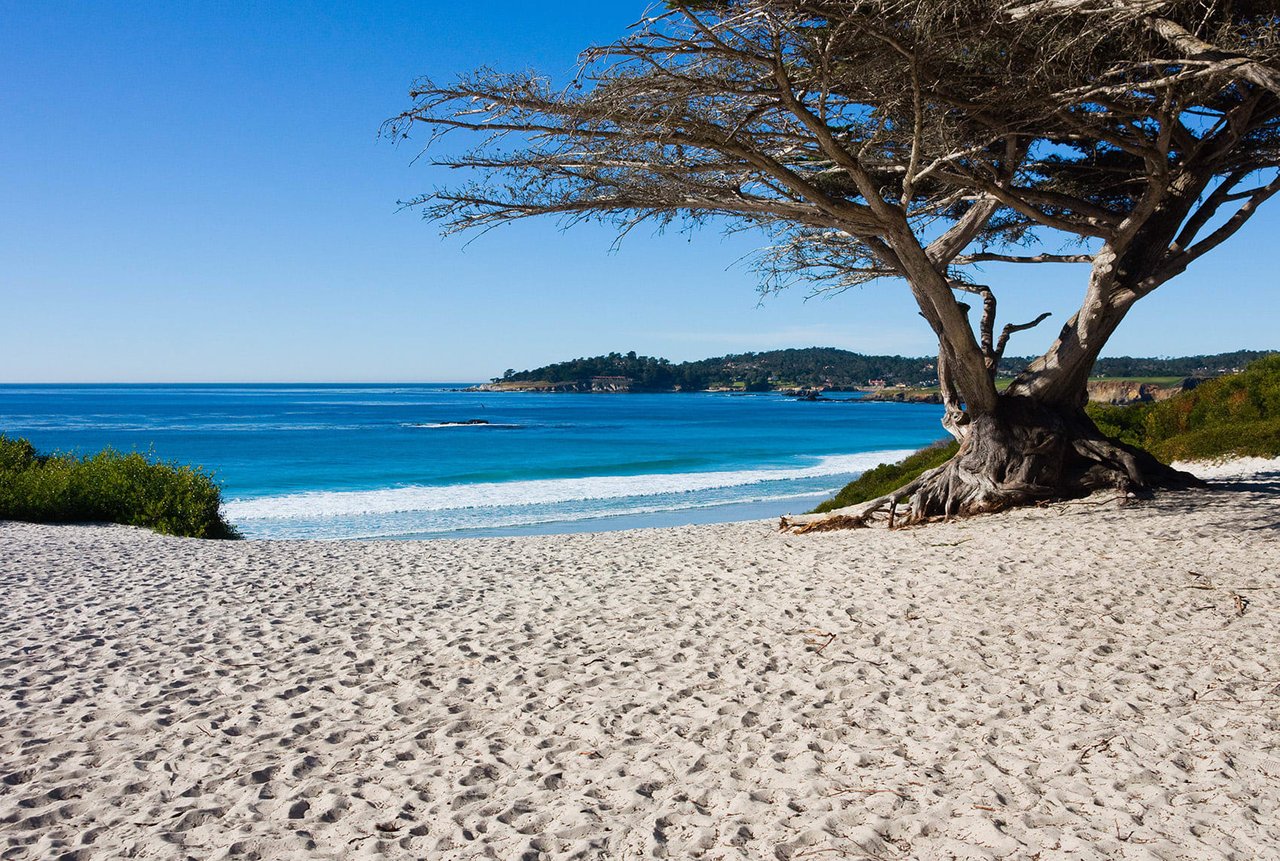 THE PADDLE INN | CARMEL-BY-THE-SEA LUXURY RENTAL