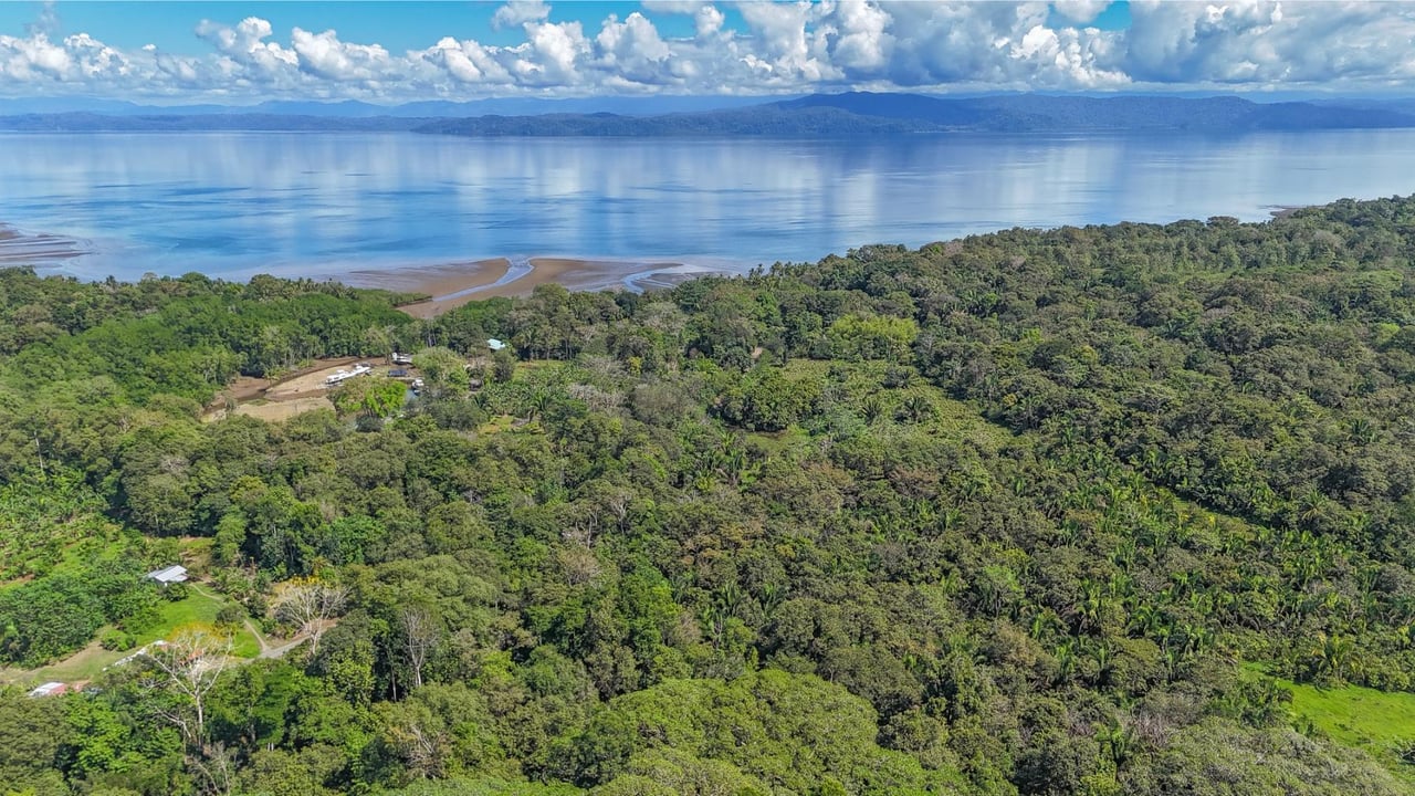 Modern Tropical Garden Residence, Osa, Puntarenas