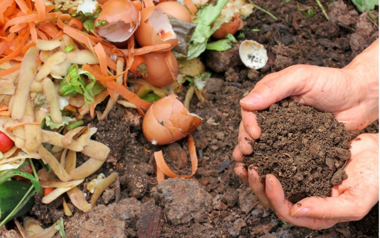 Why and How to Make Your Own Compost
