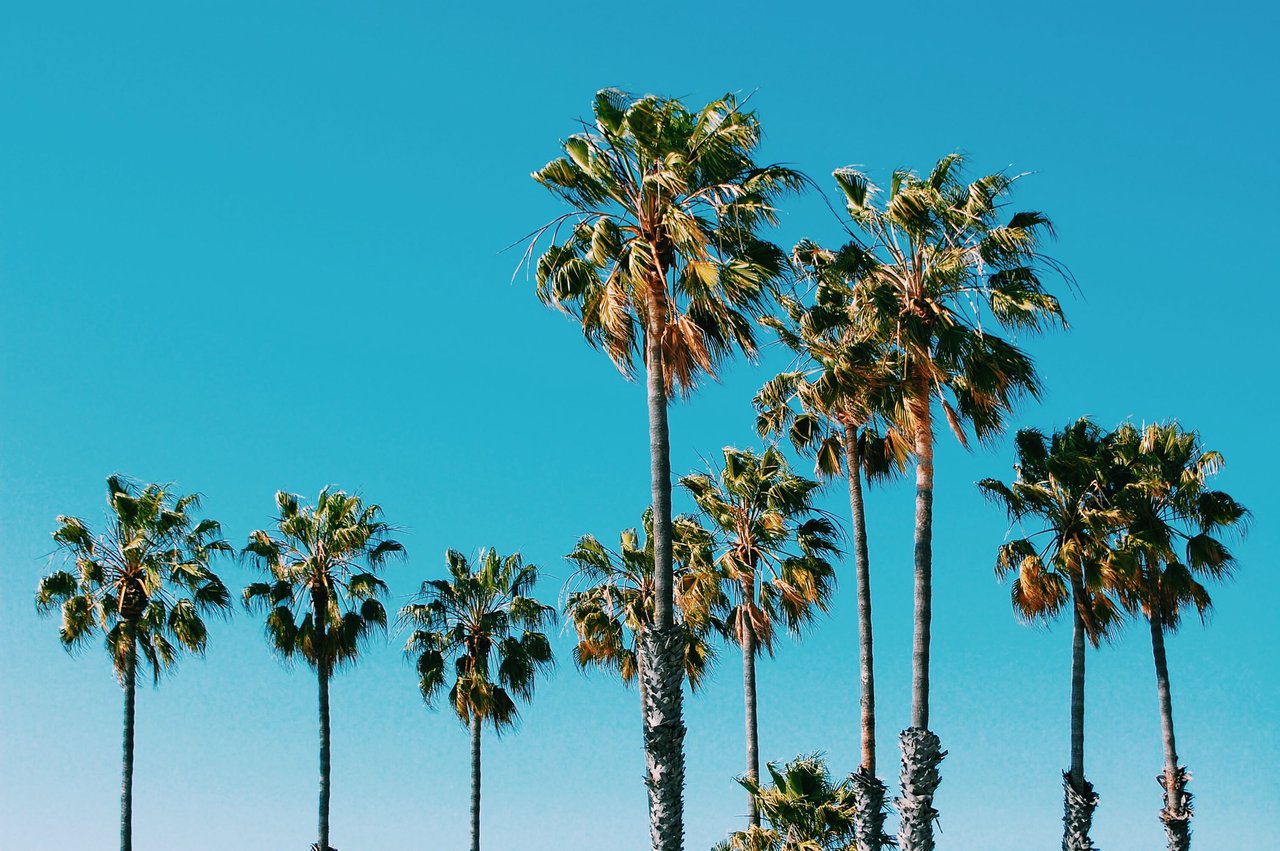 TORRANCE