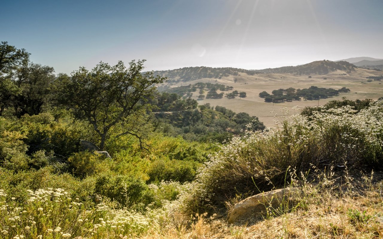 Foothills and Mountains 