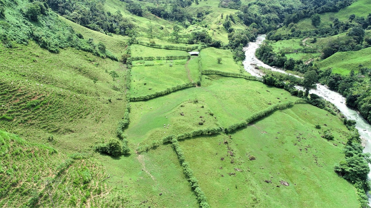 Riverfront Forest Farm, Perez Zeledon, San Jose