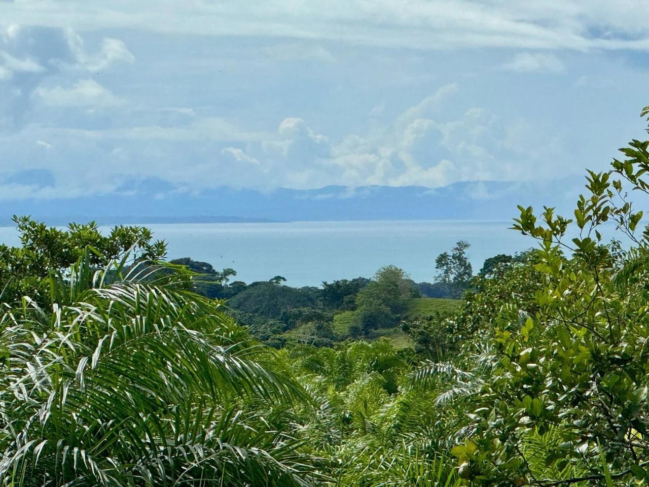 Ocean View Creek Side Land, Osa, Puntarenas