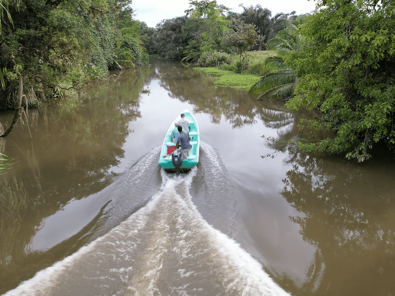 382 Acres of Sierpe River Wild Lands