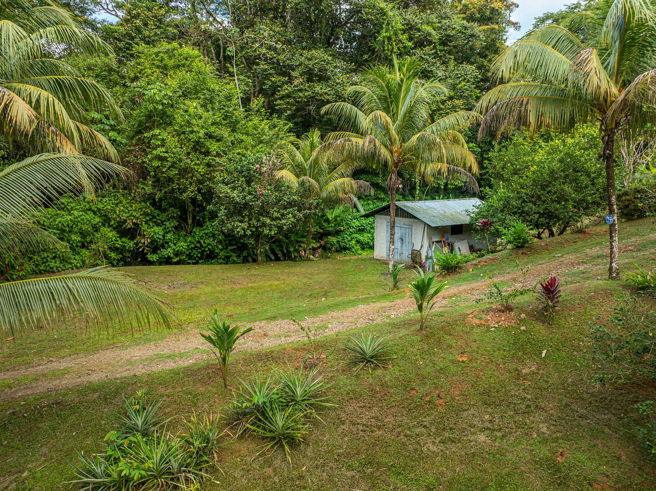 Tropical Hideaway – 7 Acres of Secluded Riverfront with a 3-Bedroom Home