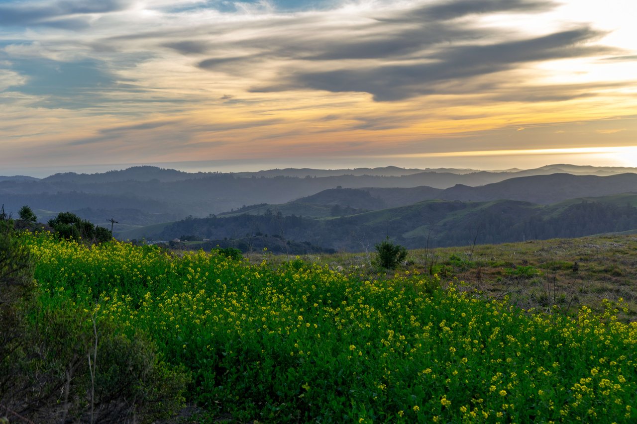 Photo of Skyline Boulevard in Woodside California