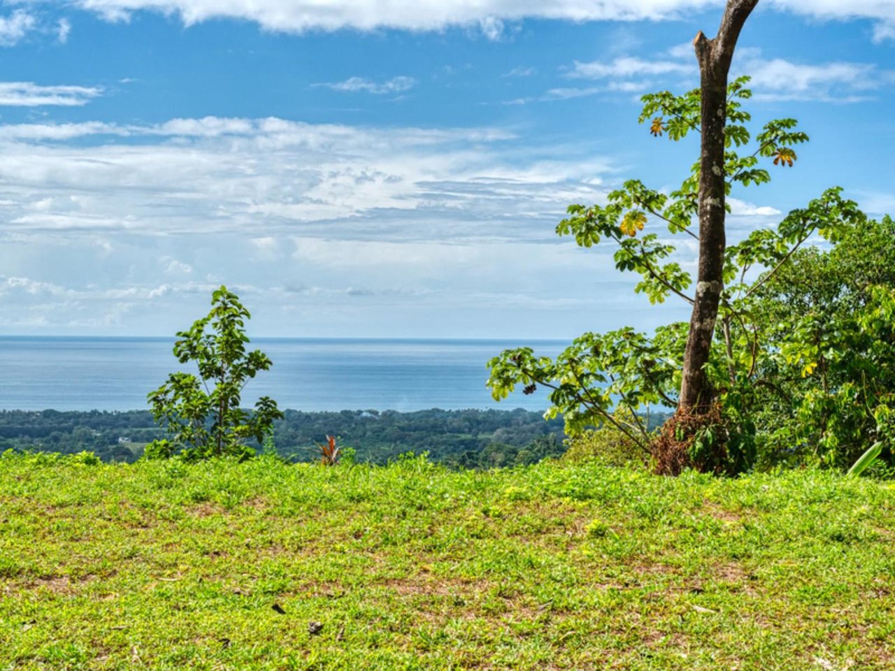 Ocean View Waterfall Land, Manuel Antonio, Puntarenas