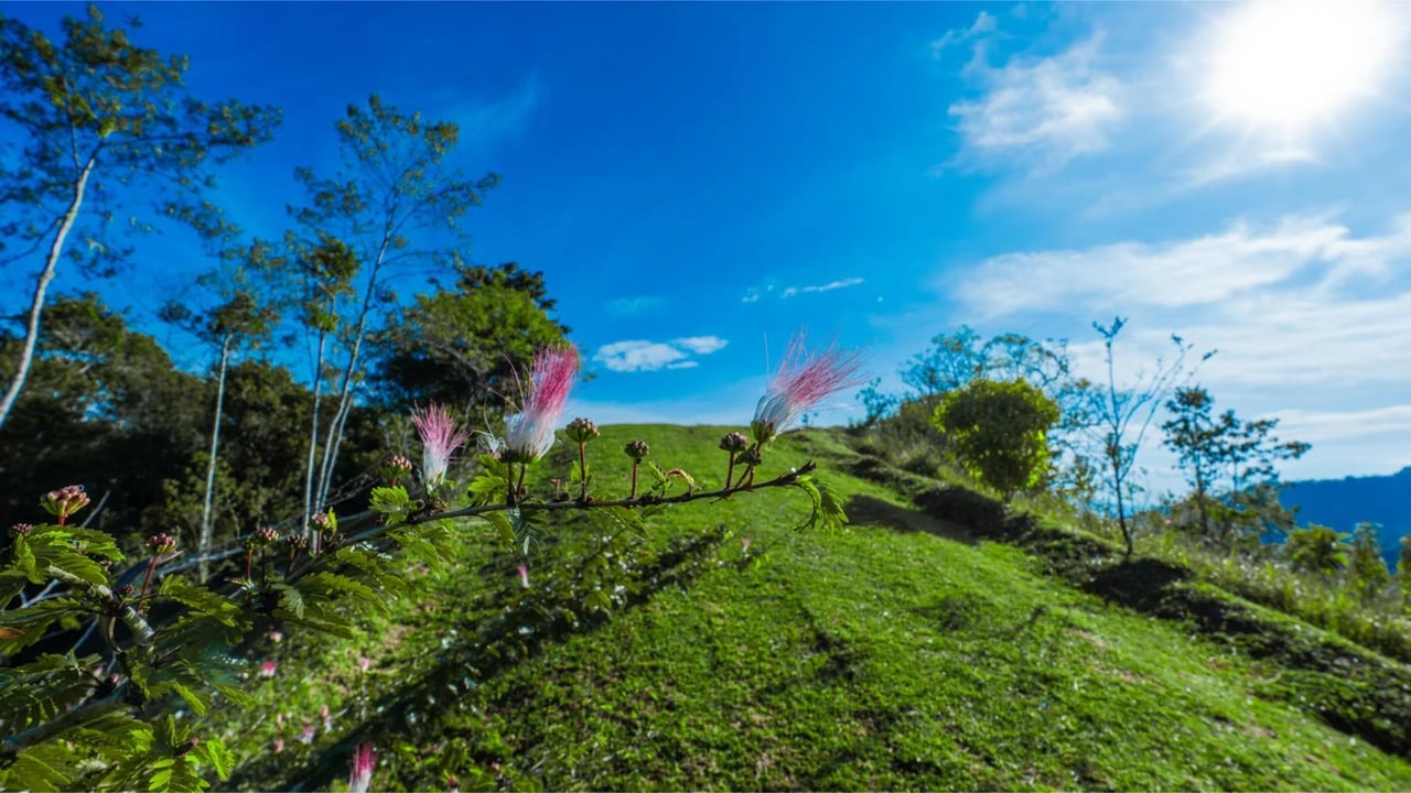 Private Waterfall Land Estate, Perez Zeledon, San Jose