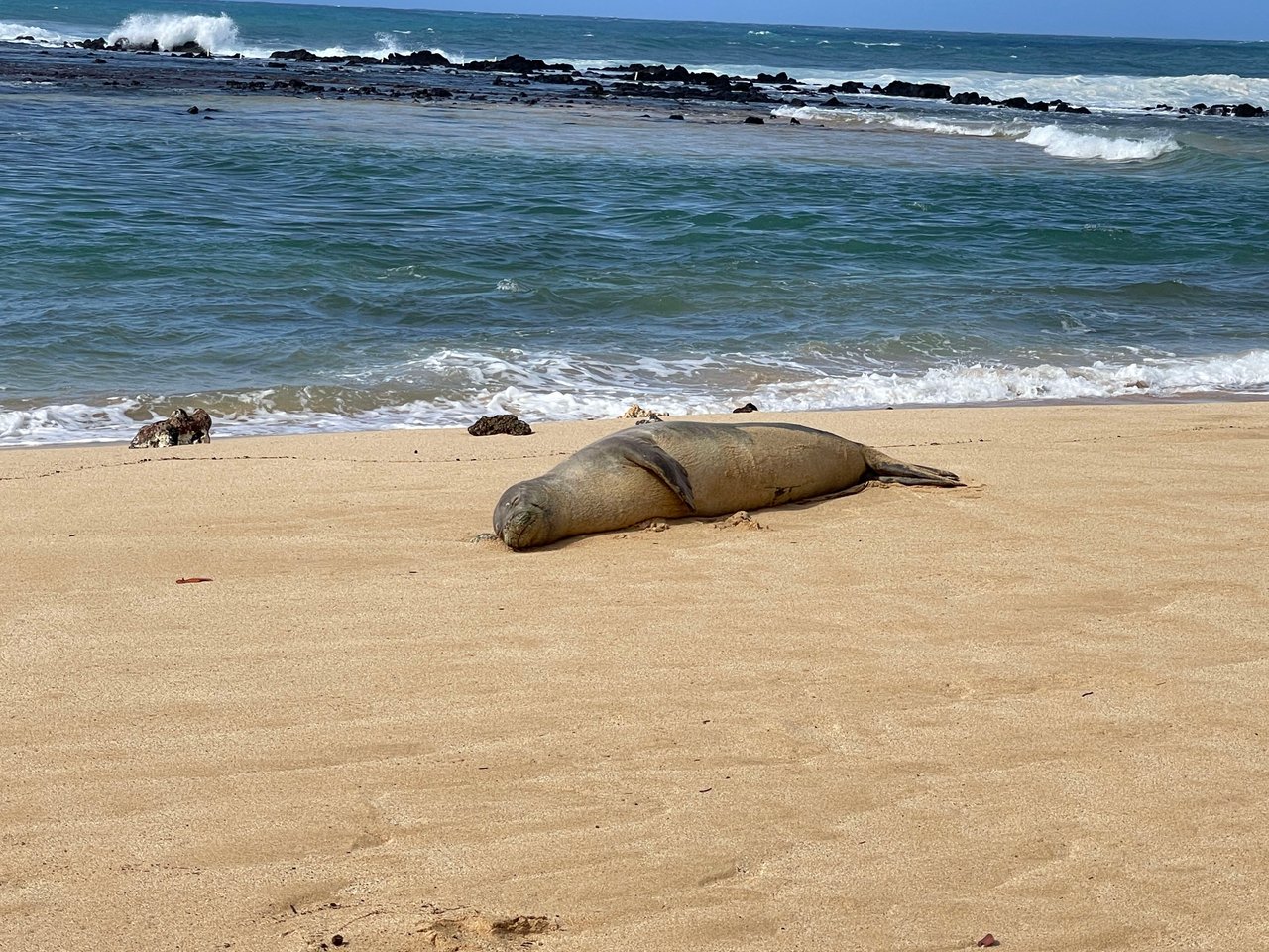 Kauai Real Estate Update, Historic South Shore Swell, Kauai Second Quarter Real Estate  