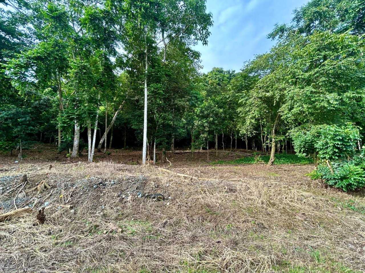 Flat Commercial Development Lot, Osa, Puntarenas