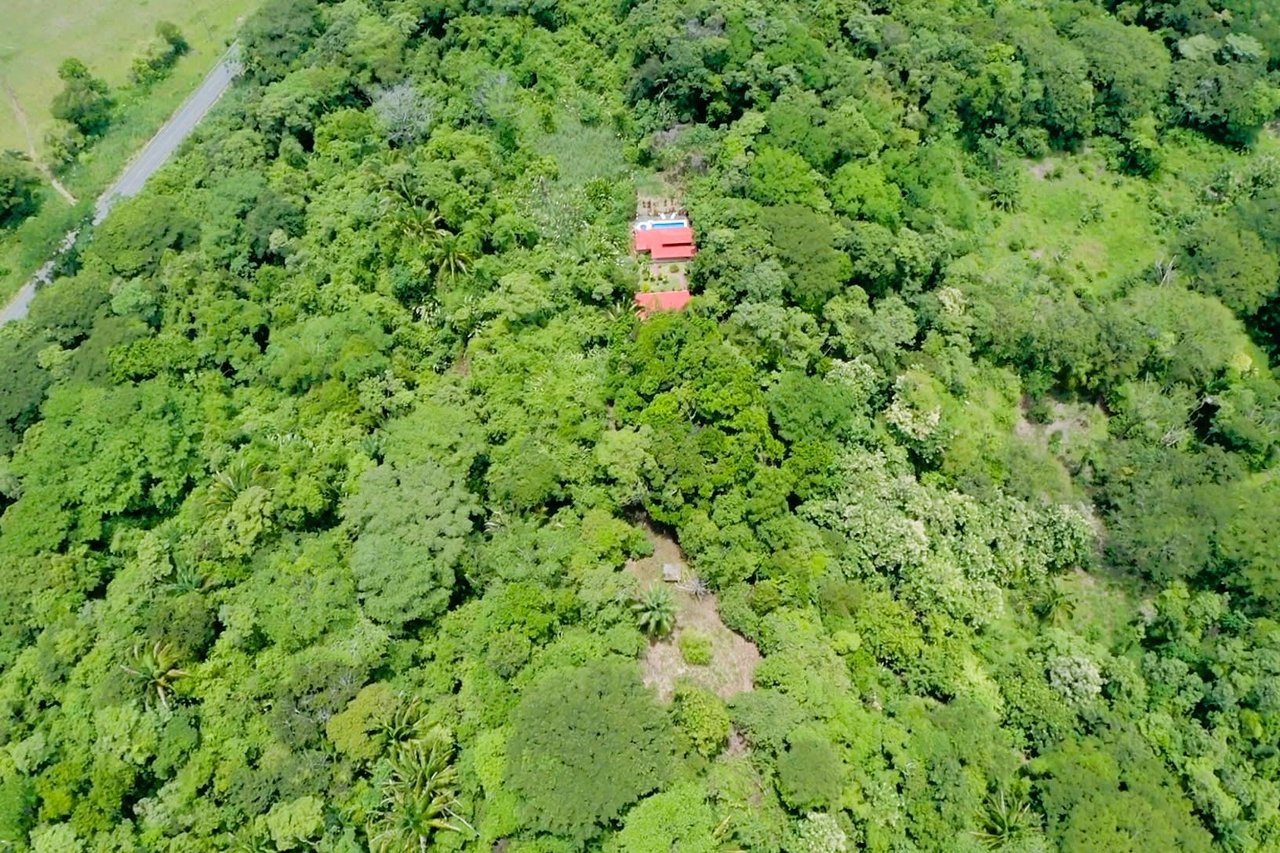 Income Producing Property with Ocean View close to Dominical