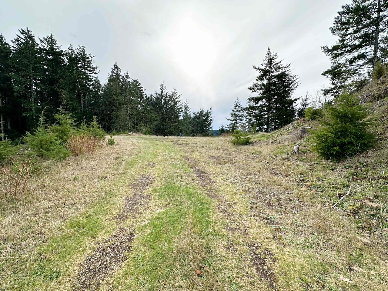 Cummins Creek Wilderness Overlook