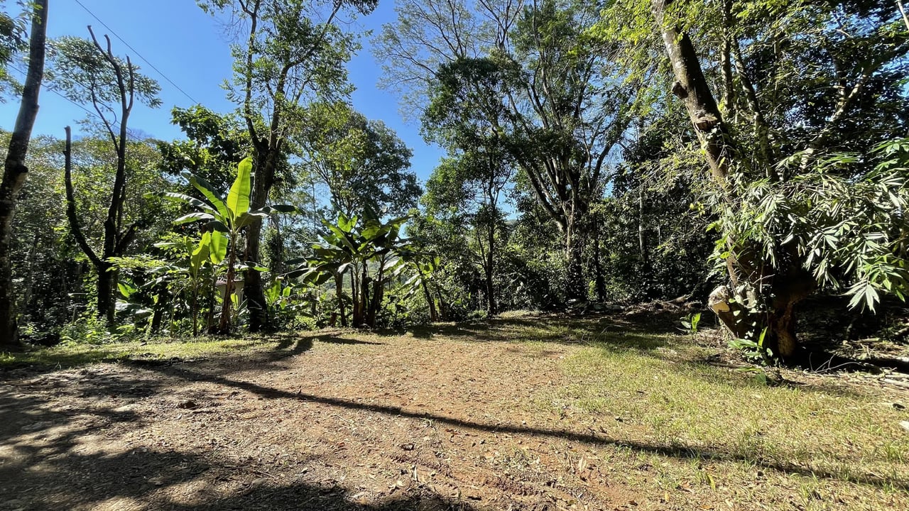 Dominical River Lot, Walk to Town