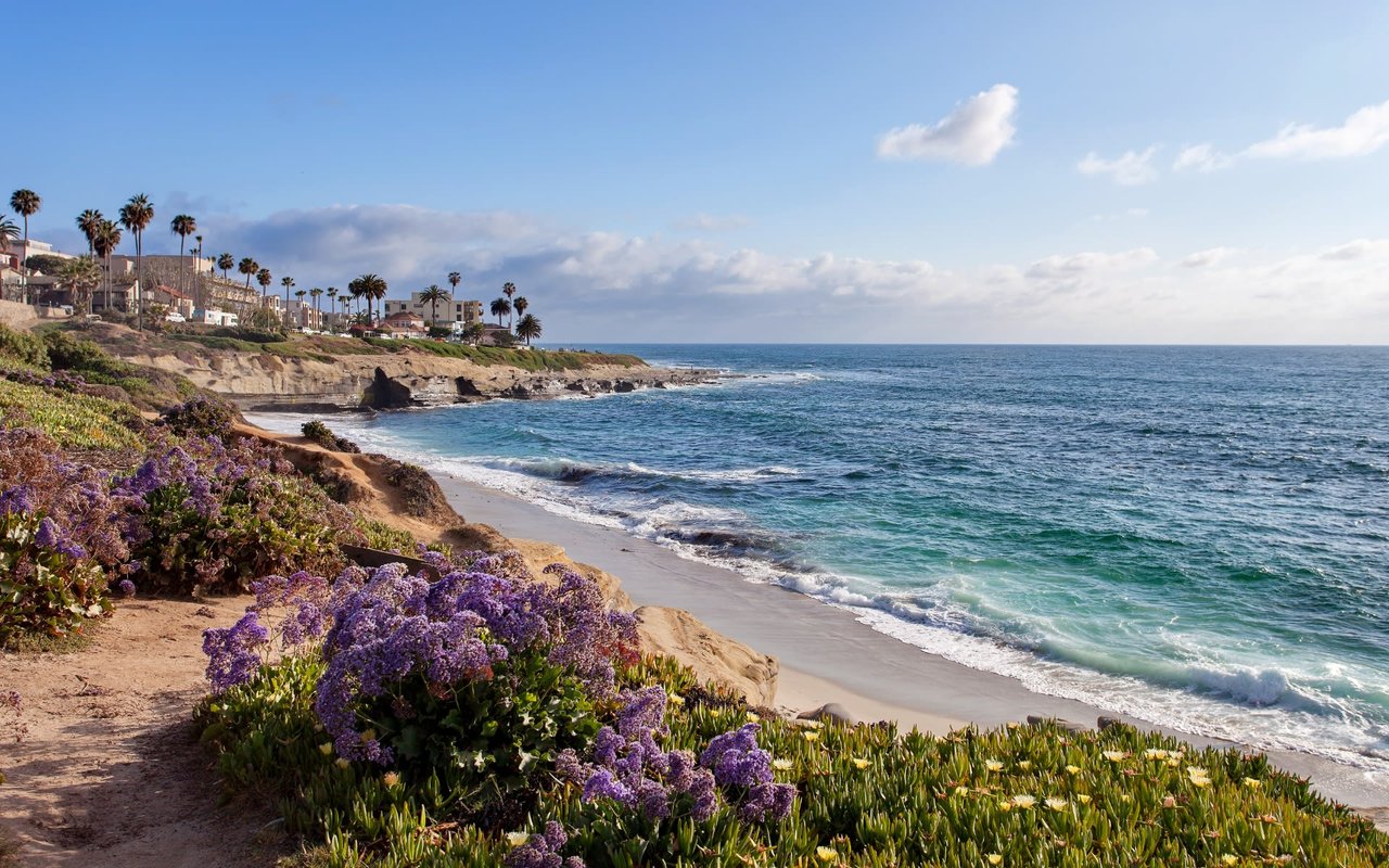 Find Your Dream Home in La Jolla