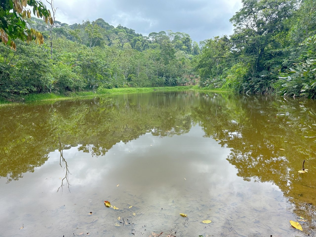 Waterfall Eco Resort Land, Dominical, Puntarenas