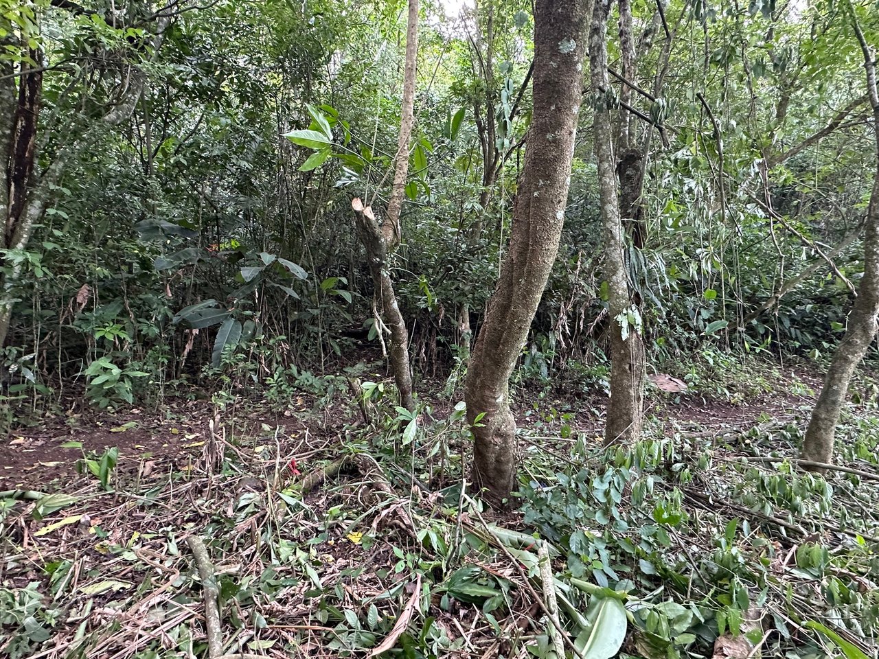 Panoramic View Buildable Land, Escazu, San Jose