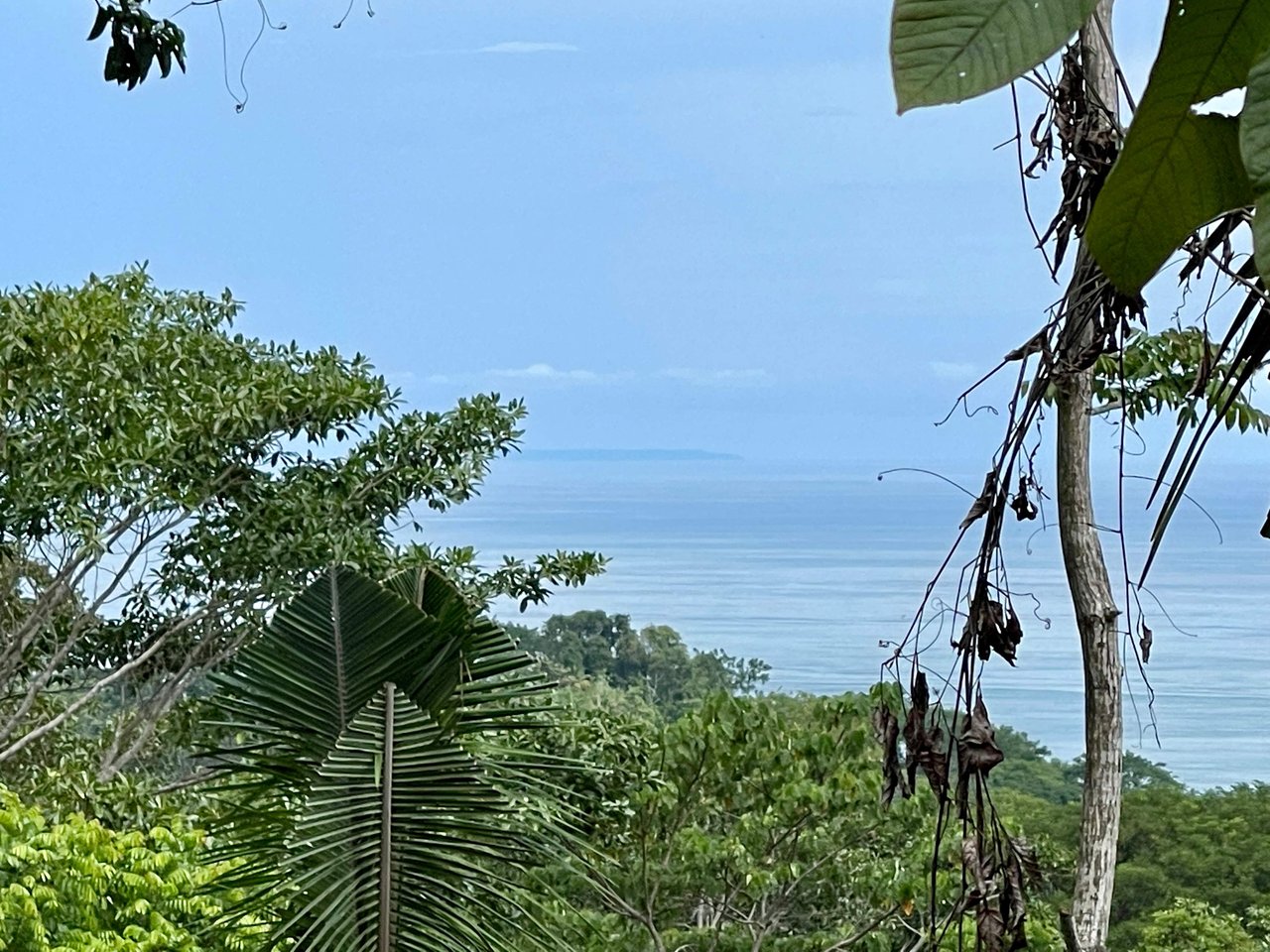 2.4 ACRES – Ocean View Lot With Creek Sorrounded By Rainforest In Gated Community!!