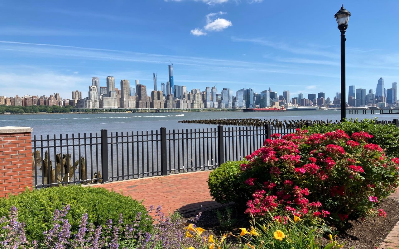 A view of the buildings in the skyline at dusk, with vibrant flowers in full bloom in the foreground on the riverbank.