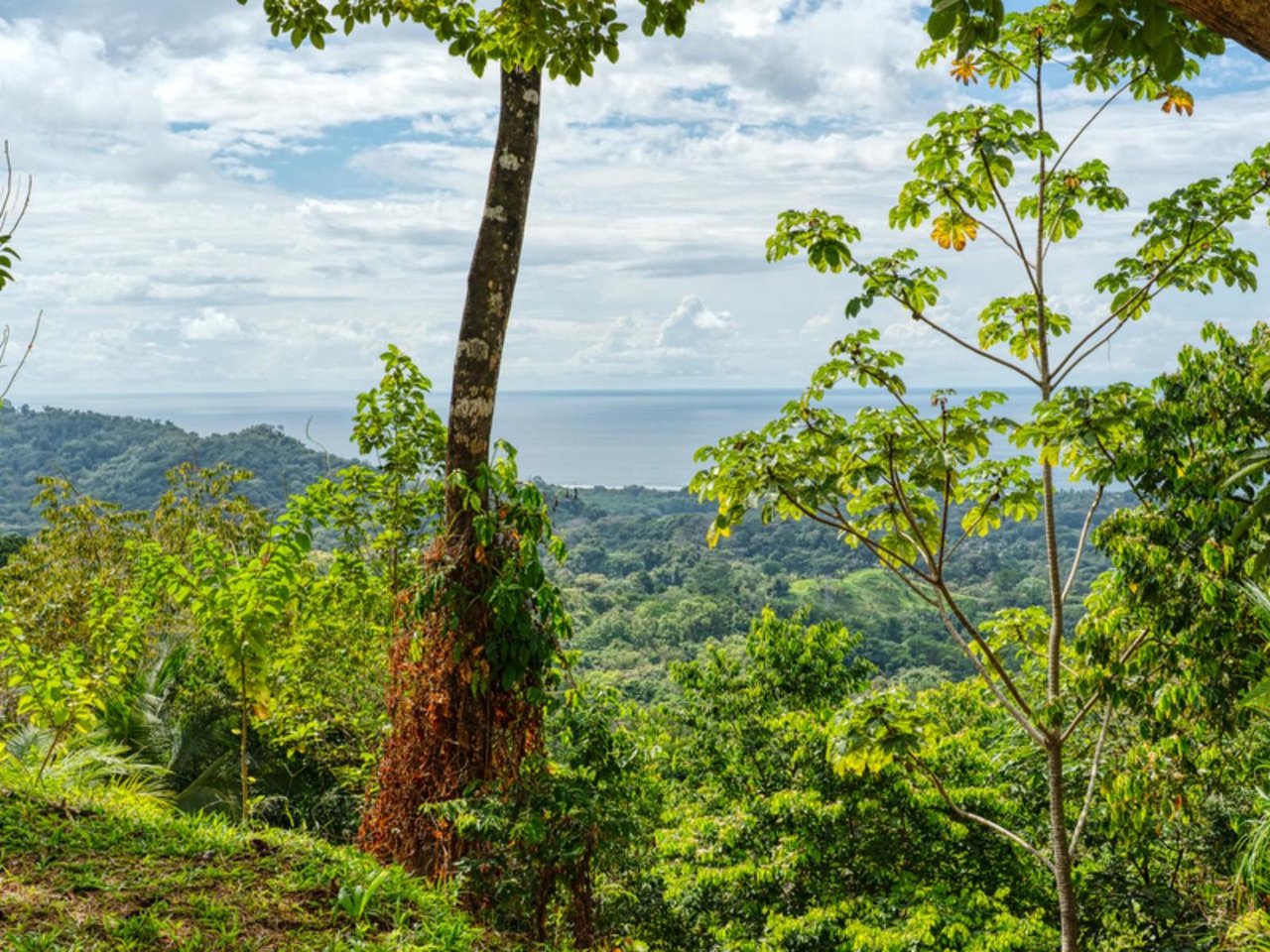 Ocean View Waterfall Land, Manuel Antonio, Puntarenas
