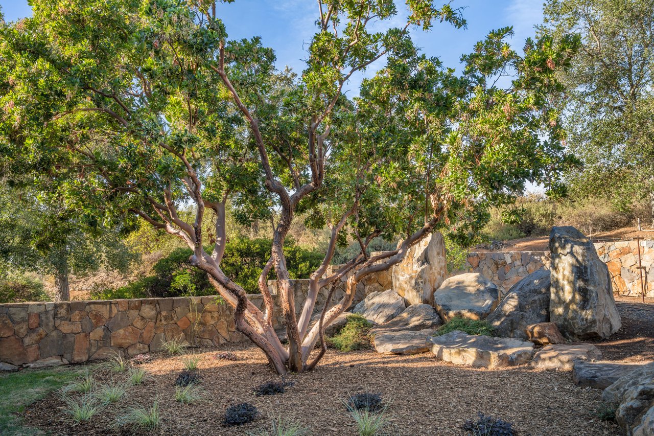 Long Ranch Road, St. Helena