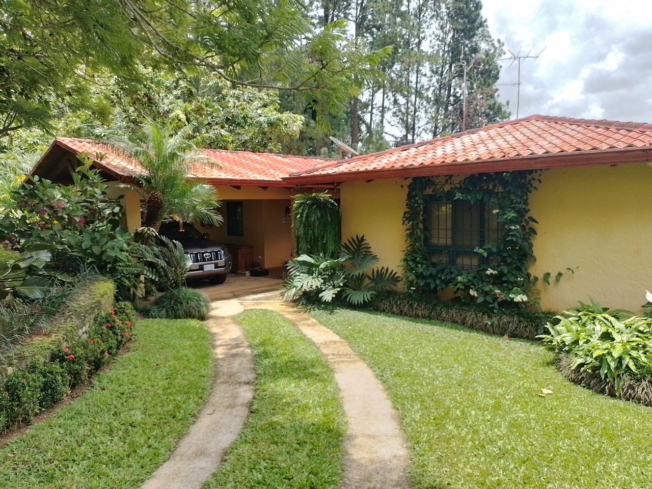 Coffee Farm Hacienda Estate, Perez Zeledon, San Jose