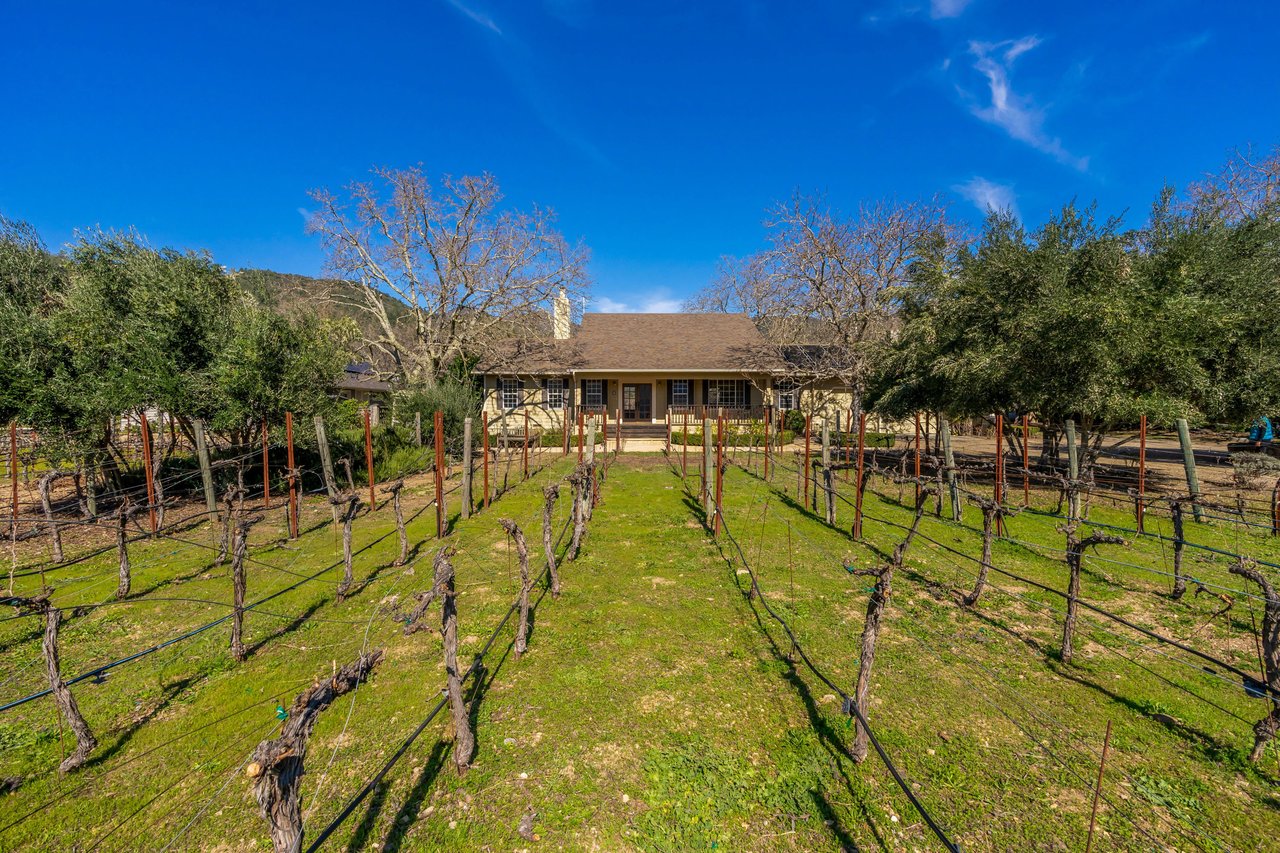 Vineyard Paradise - SOLD