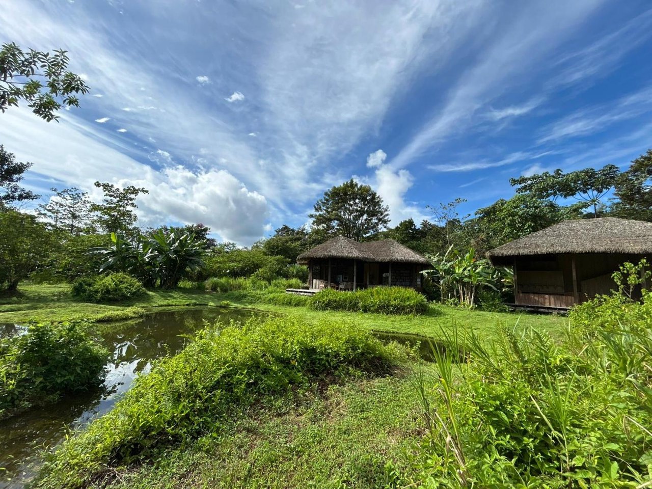 Sustainable Conservation Retreat, Osa, Puntarenas