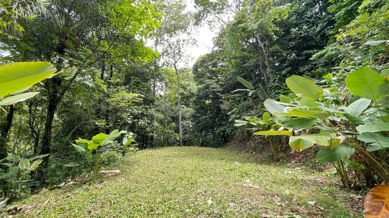 17 Acres of Paradise in Uvita, Jungle and Ocean View. 3 Plus Building Sites 