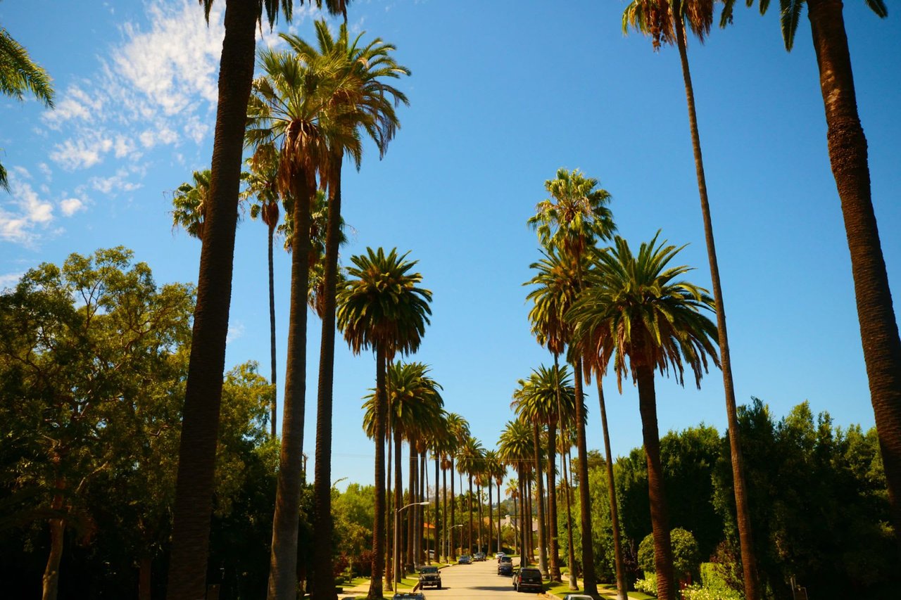 Which LA Neighborhood is Right for You?