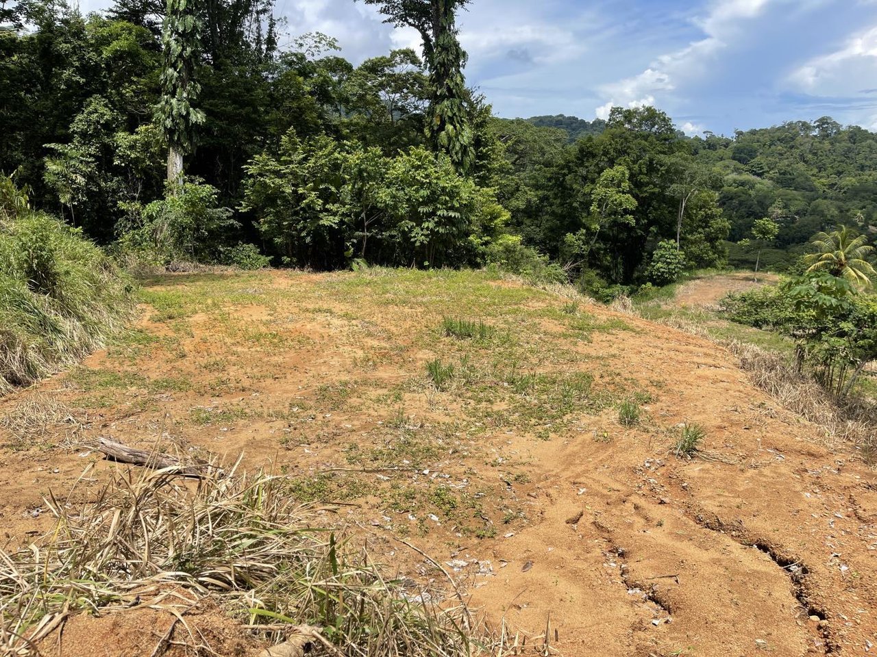 15.9 ACRES – Ocean View Development Property With Legal Water, Public Road, 5 Min From Highway!