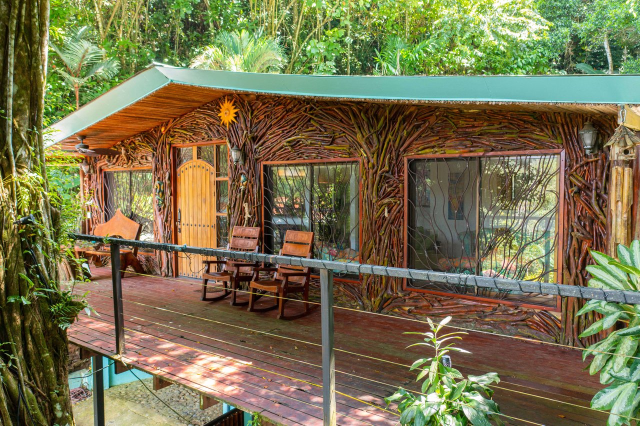 Artistic river home in the rainforest