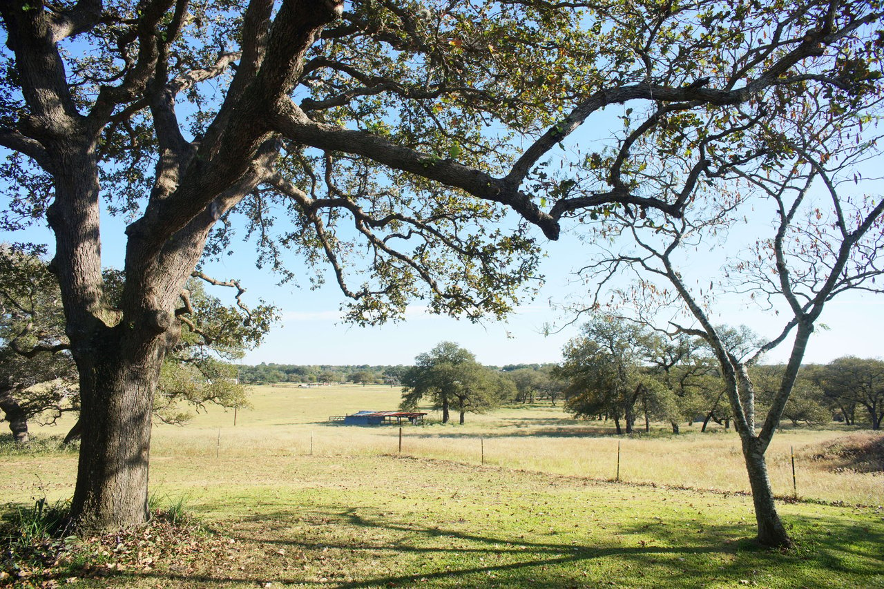 Guadalupe County Ranches