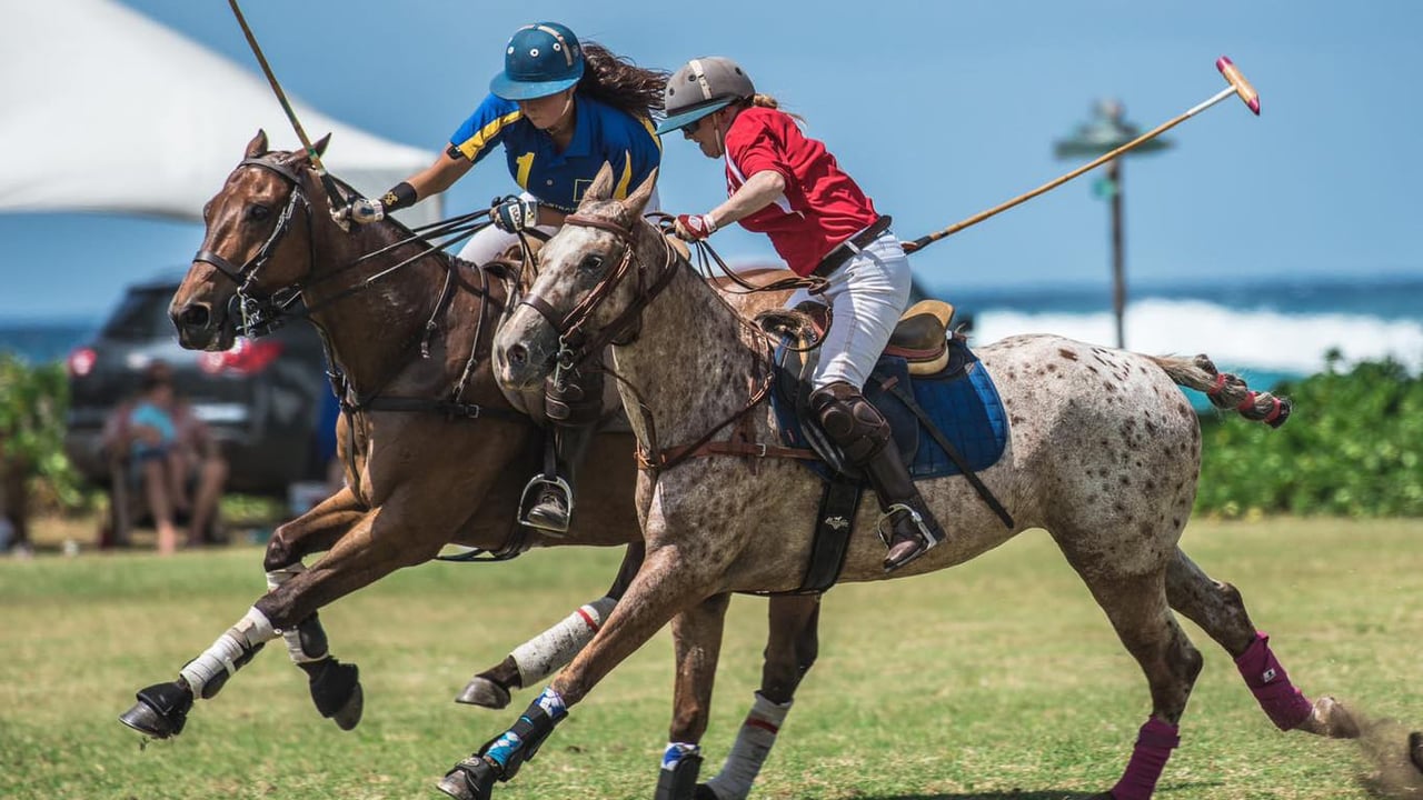 Hawaii Polo Club