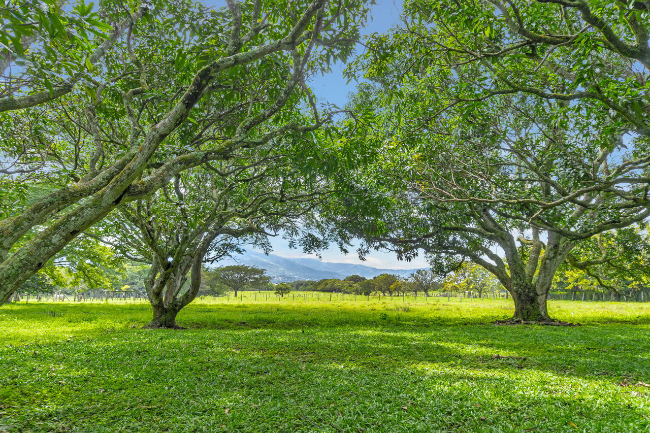 Mixed Use Development Land, Guacima, Alajuela