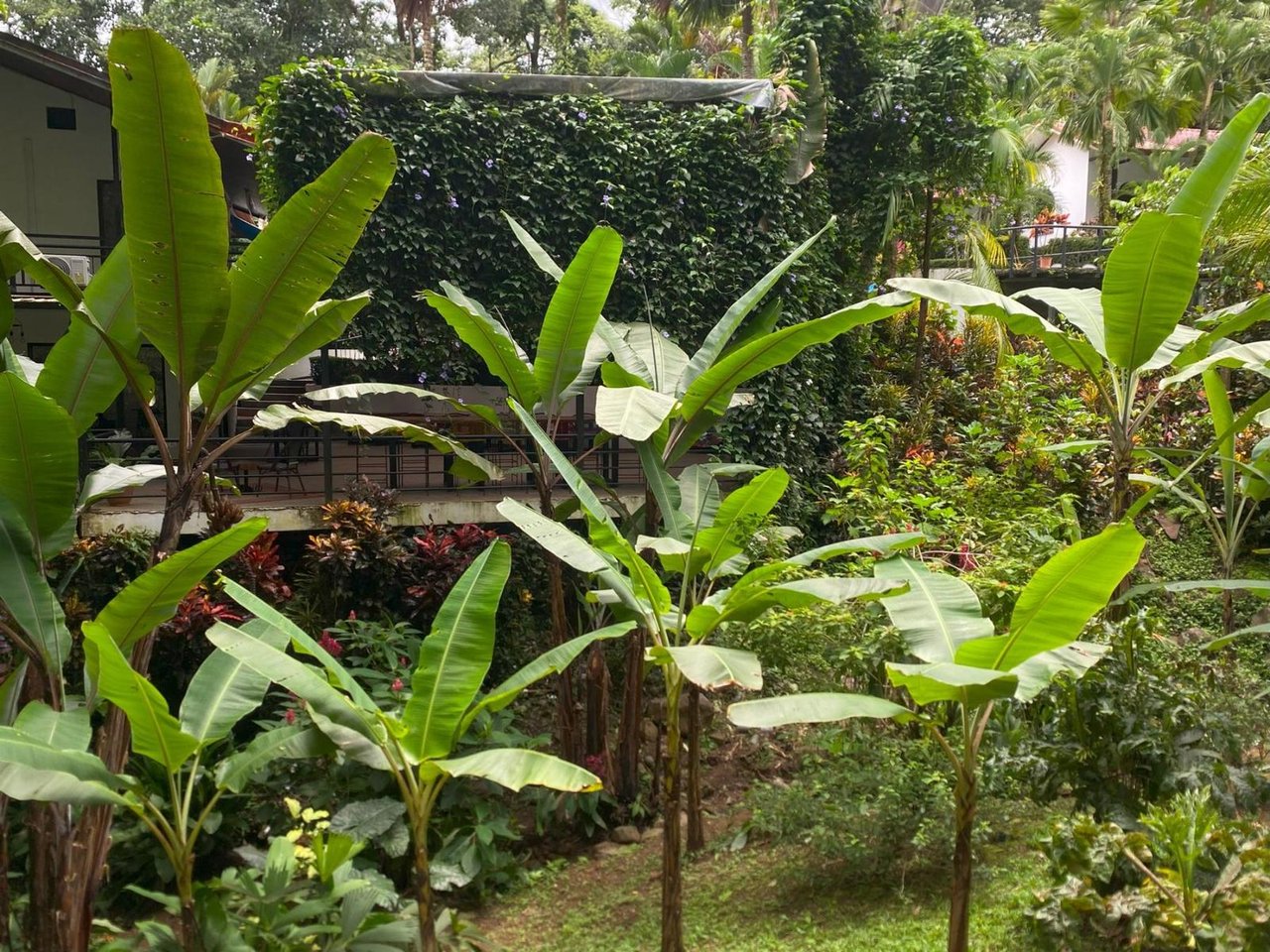 Riverside Boutique Villa Resort, Ojochal, Puntarenas