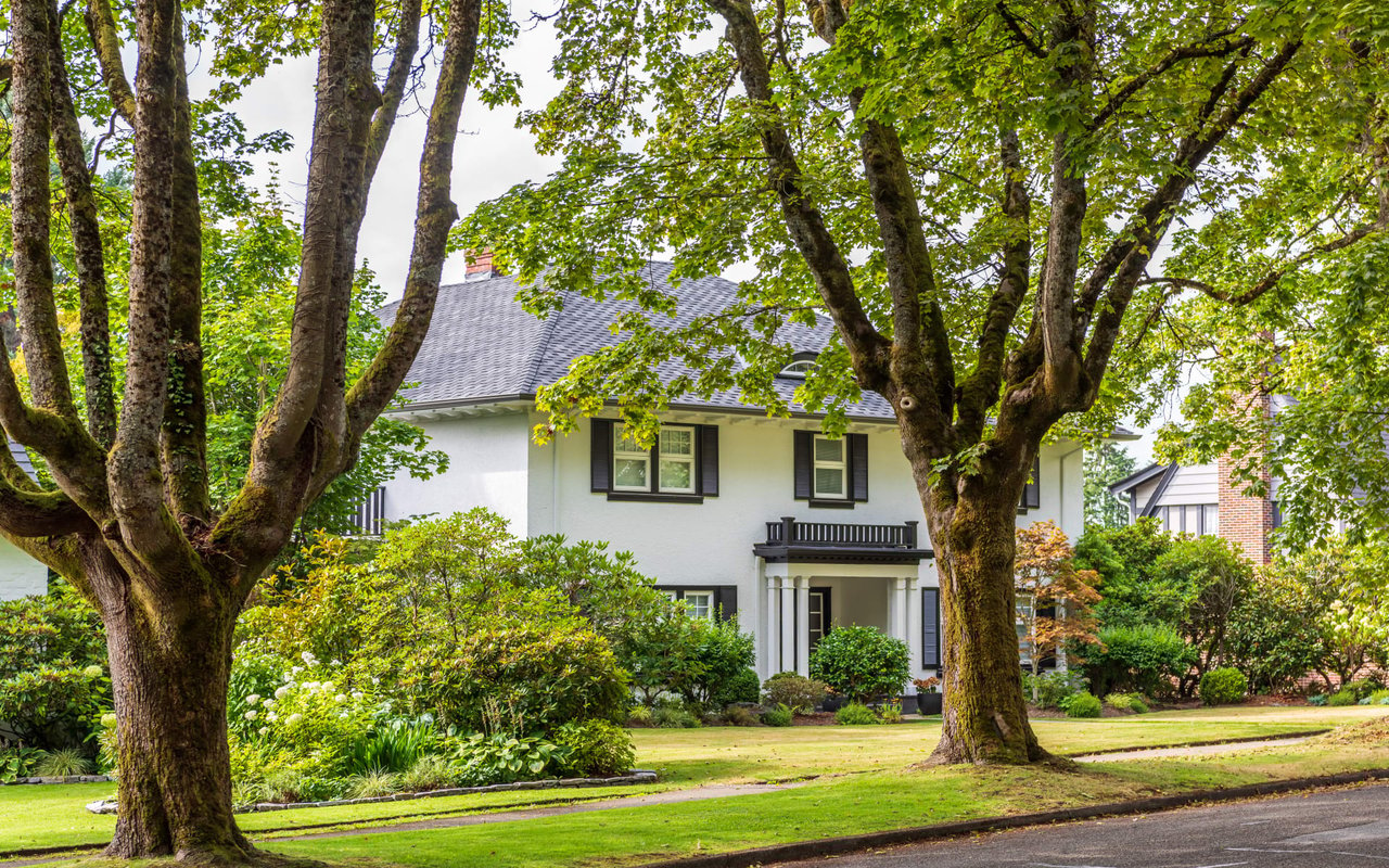 A white house with black shutters and a black front door and a green lawn in front of it that sits between two trees.