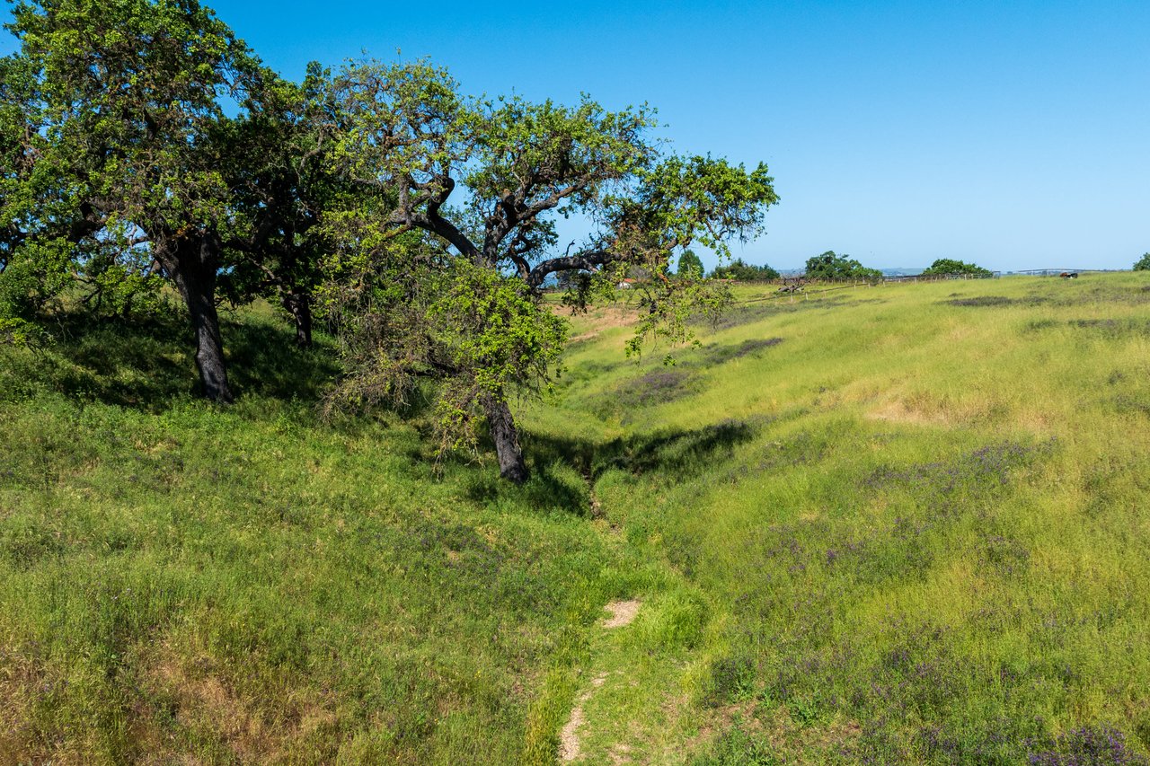 19+ Picturesque Acres on Baseline Avenue