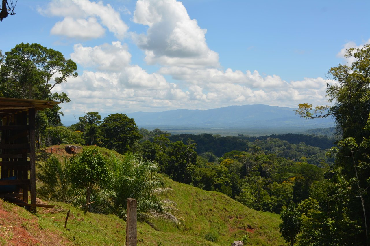 Osa Peninsula Los Mogos Magic Golfo Dulce Views 71 Acres