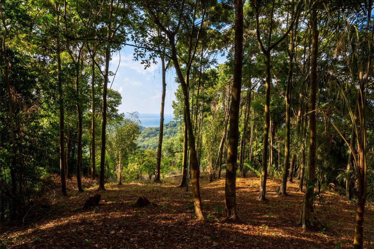 Private Ocean View Development Lot, Dominical, Puntarenas