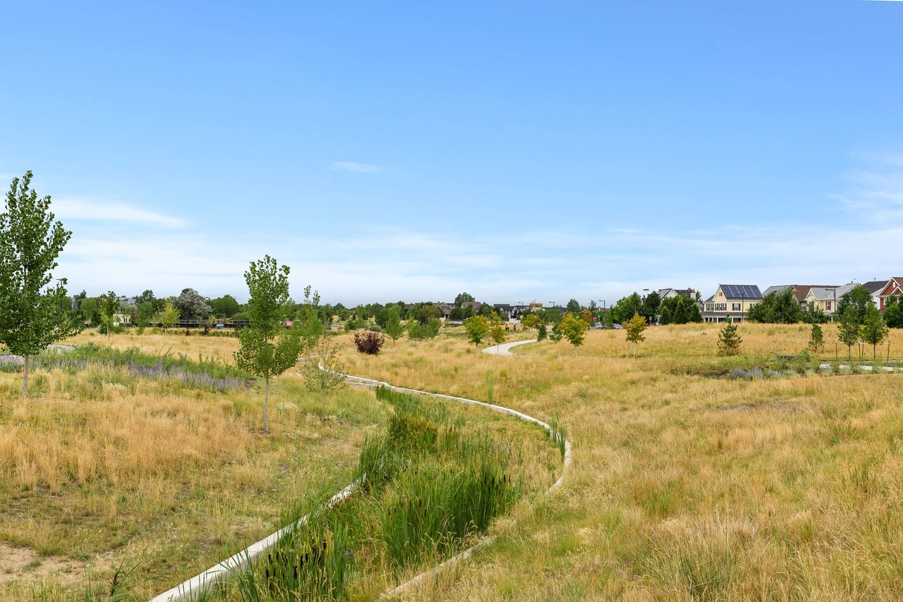 Central Park