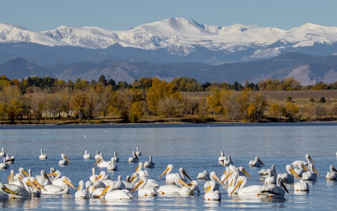 Cherry Creek